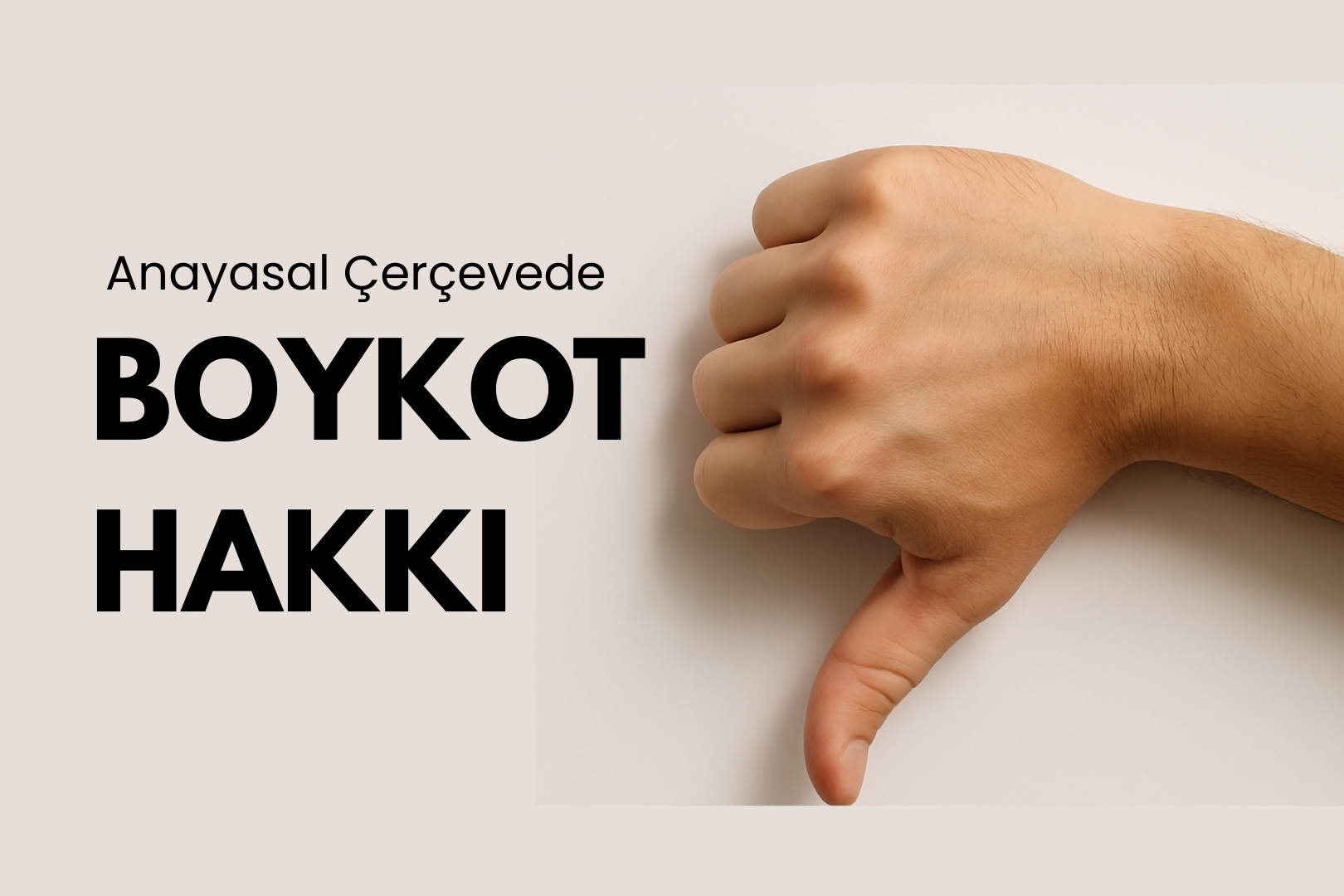 Boykot Hakkı